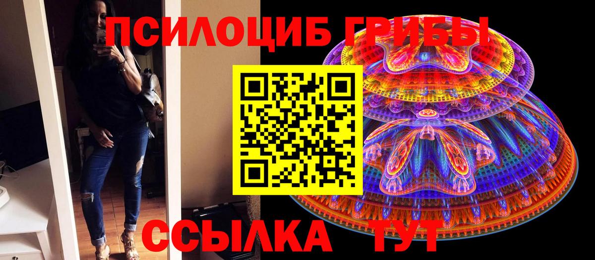 Псилоцибиновые грибы прущие грибы Красногорск