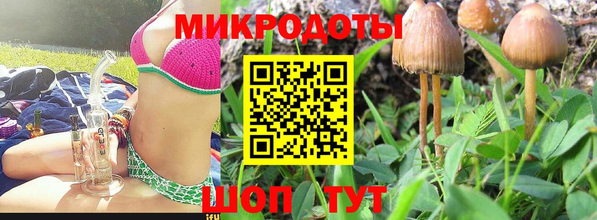 Красногорск  Галлюциногенные грибы Magic Shrooms  Вход с VPN 
